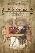 Ler Via Sacra - Meditacoes Sobre as Estacoes da Cruz, do autor John Henry Newman