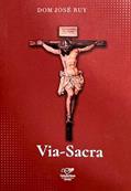 Ler VIA-SACRA, do autor DOM JOSÉ RUY