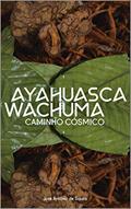 Ler Ayahuasca Wachuma - Caminho Cosmico, do autor José Antonio Souza