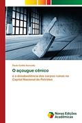 Ler O açougue cênico: e a desobediência dos corpos ruínas na Capital Nacional do Petróleo, do autor Paulo Emílio Azevedo