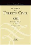 Ler Tratado de Direito Civil: XIII - Direitos Reais 1ª Parte - Dogmática Geral, Posse e Registo Predial (Volume 13), do autor António Menezes Cordeiro Ler Tratado de Direito Civil: XIII - Direitos Reais 1ª Parte - Dogmática Geral, Posse e Registo Predial (Volume 13), do autor António Menezes Cordeiro