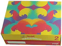 Toni Itinerários - Volume 2, do autor Angelica Prado; Cristina Hulle