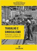 Ler Trabalho E Sindicalismo - Reflexões a partir do contexto pandêmico, do autor Iram Jacome Rodrigues; Josè Ricardo Ramalho