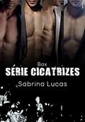 Ler BOX SÉRIE CICATRIZES CONTENDO 4 LIVROS: QUEBRANTADO CORAÇÃO - AMARGURADO CORAÇÃO - APRISIONADO CORAÇÃO - MAGOADO CORAÇÃO -, do autor Sabrina Lucas