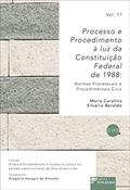 Ler Processo e Procedimento à luz da Constituição Federal de 1988: Normas Processuais e Procedimentais Civis, do autor Maria Carolina Silveira Beraldo