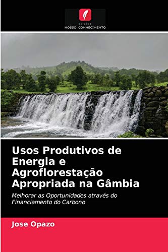 Ler Usos Produtivos de Energia e Agroflorestação Apropriada na Gâmbia: Melhorar as Oportunidades através do Financiamento do Carbono, do autor Jose Opazo