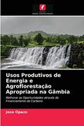Ler Usos Produtivos de Energia e Agroflorestação Apropriada na Gâmbia: Melhorar as Oportunidades através do Financiamento do Carbono, do autor Jose Opazo