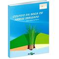 Ler Cultivo da Soca de Arroz Irrigado, do autor Anne Sitarama Prabhu; Evane Ferreira; José Geraldo da Silva Ler Cultivo da Soca de Arroz Irrigado, do autor Anne Sitarama Prabhu; Evane Ferreira; José Geraldo da Silva