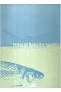 Ler Peixes Do Baixo Rio Tocantins : 20 Anos Depois Da Usina Hidrelétrica Tucuruí., do autor Anastácio Afonso Juras