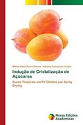 Ler Indução de Cristalização de Açúcares: Sucos Tropicais em Pó Obtidos por Spray Drying, do autor Milton Nobel Cano Chauca; Adriana Gonçalves Freitas Ler Indução de Cristalização de Açúcares: Sucos Tropicais em Pó Obtidos por Spray Drying, do autor Milton Nobel Cano Chauca; Adriana Gonçalves Freitas